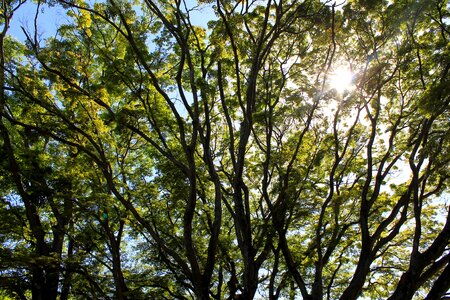 Korea beautiful park