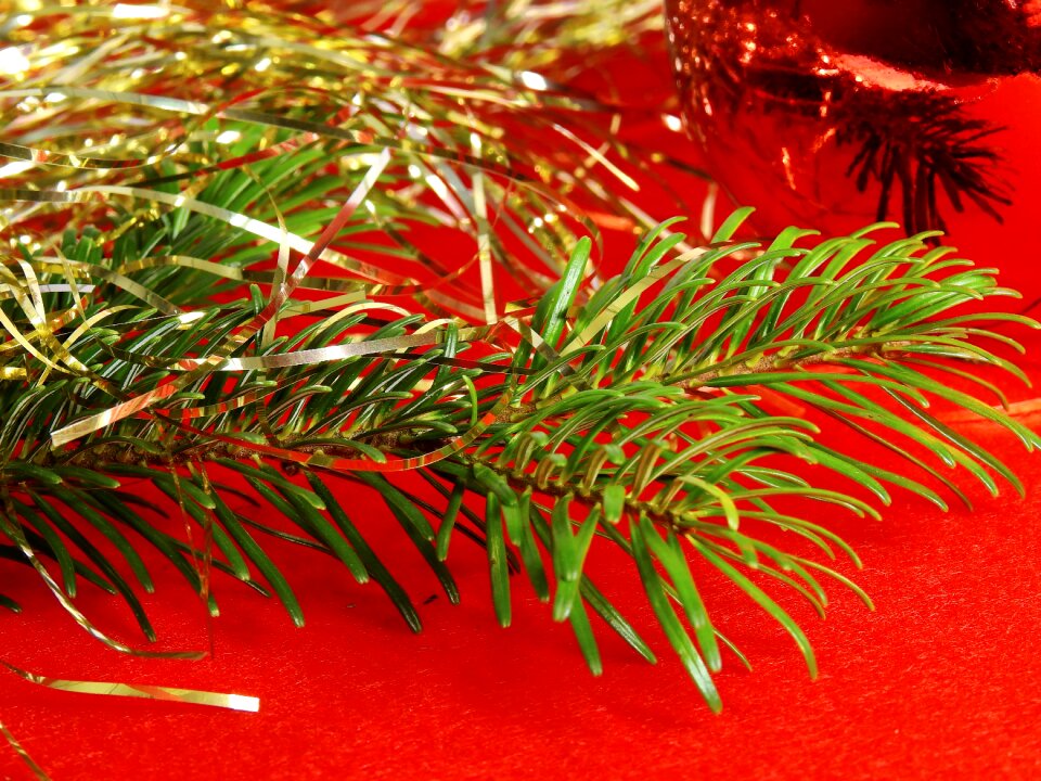 Advent christmas decoration christmas tree