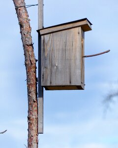 Bird animal welfare hatchery photo