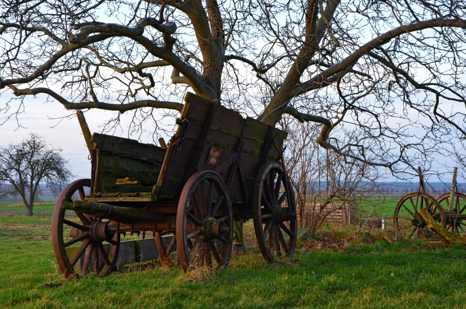 Nature car age outdoor