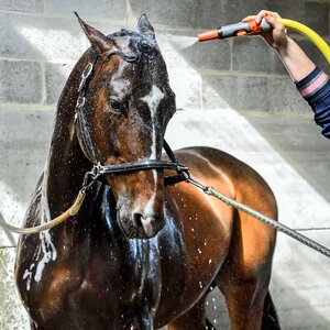 Water shower wash