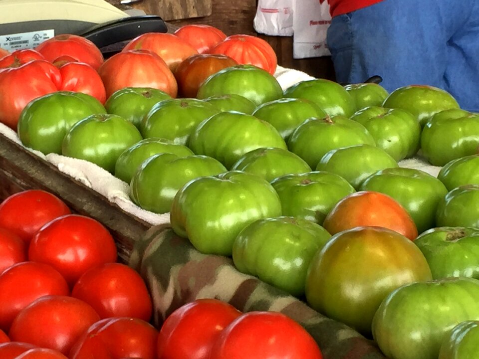Farmer stand market