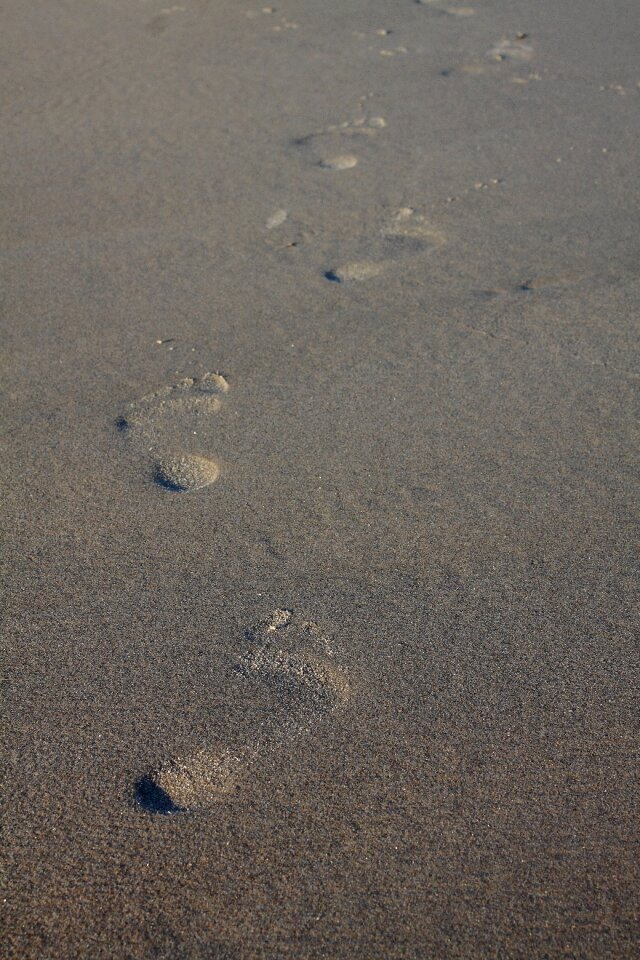 Tracks in the sand footprints reprint photo
