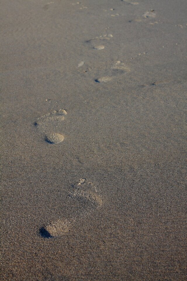 Tracks in the sand footprints reprint