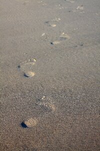 Tracks in the sand footprints reprint photo