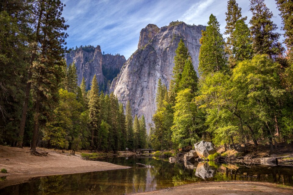 Natural trees beautiful