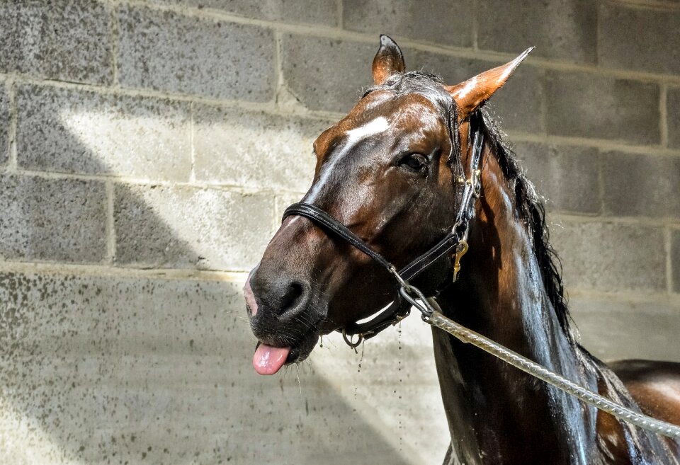 Water shower wash