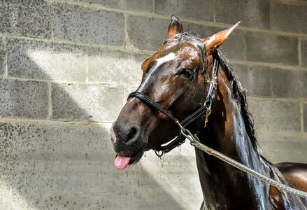 Water shower wash