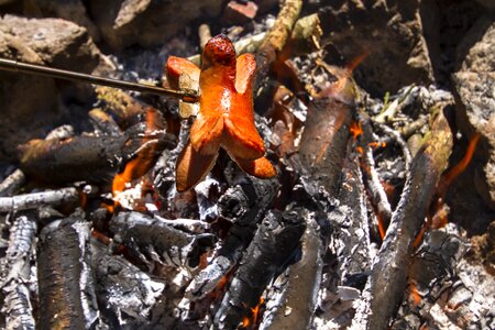 Sizzle grill sausage campfire