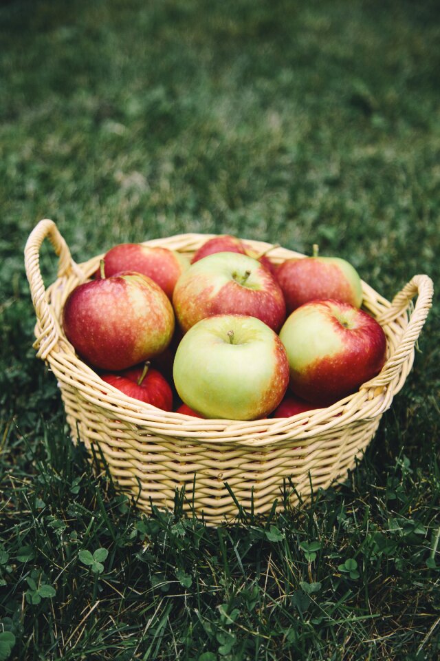 Basket fruit healthy