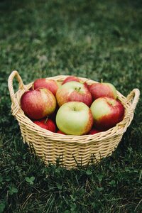 Basket fruit healthy