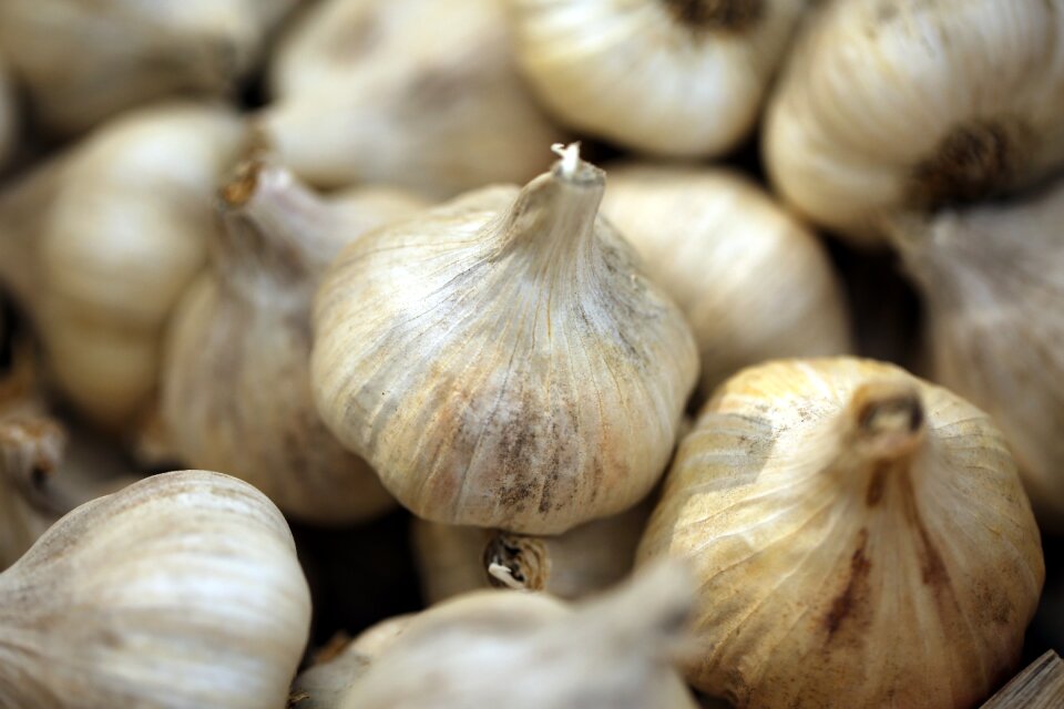 Nature white condiment