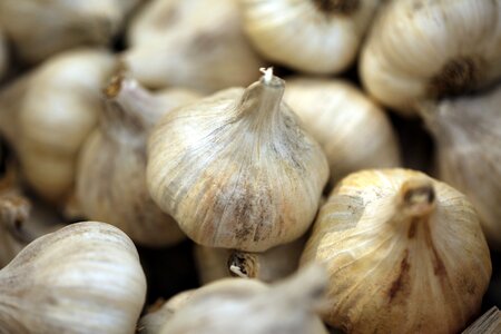 Nature white condiment