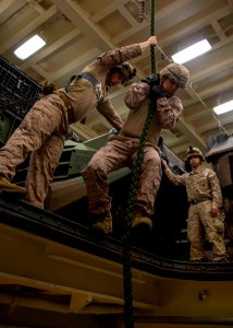 190222 BLT/CLB Fast Rope training