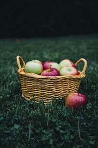 Basket fruit healthy