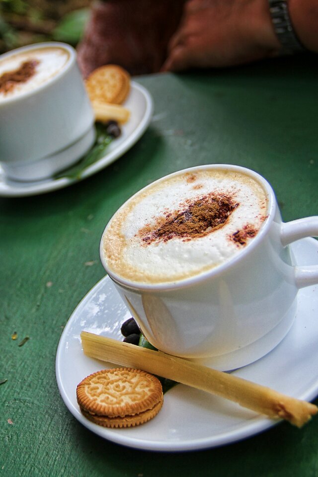 Milchschaum drink coffee cup