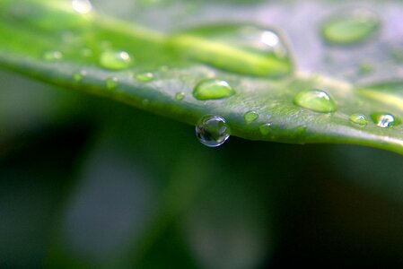 Macro liquid water