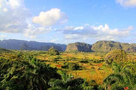 Nature green caribbean