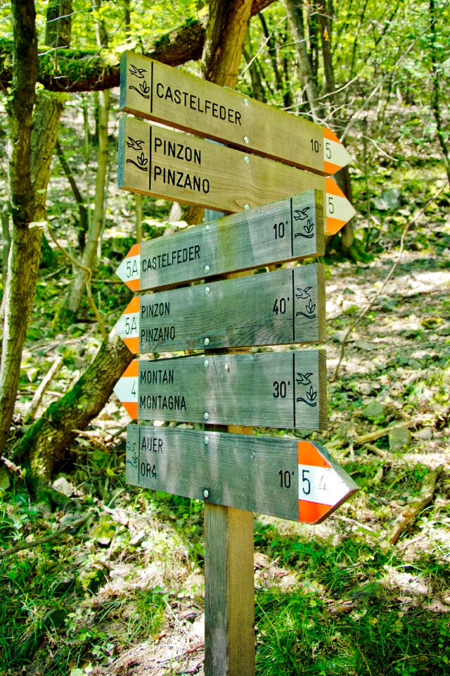 Away signposts nature