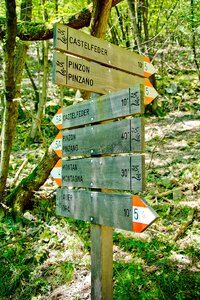 Away signposts nature