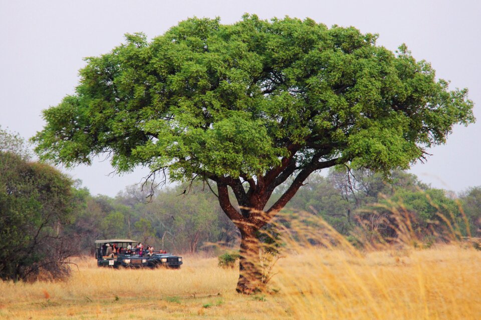 Exciting adventure safaris