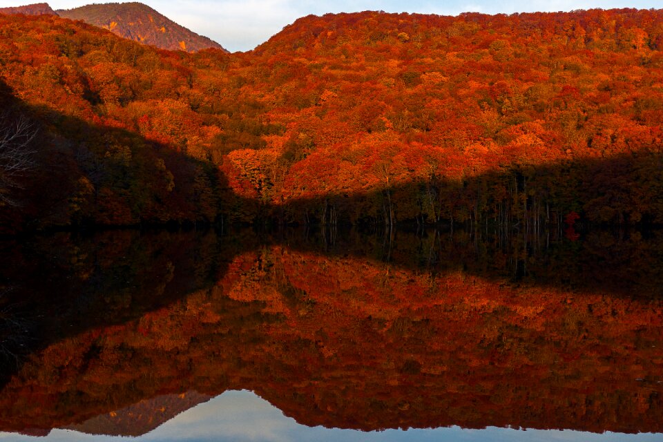 Autumn lake forest