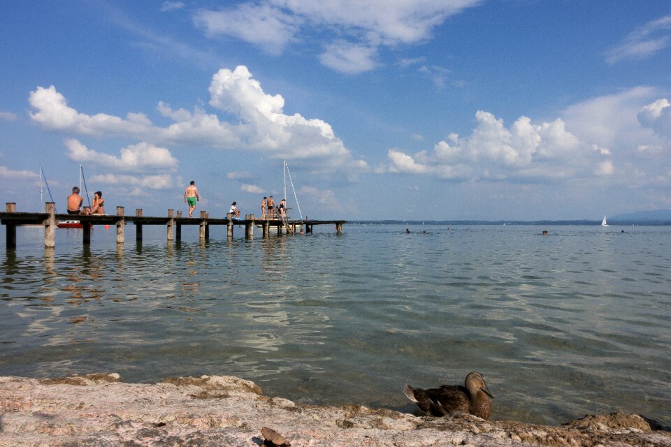 Water landscape summer