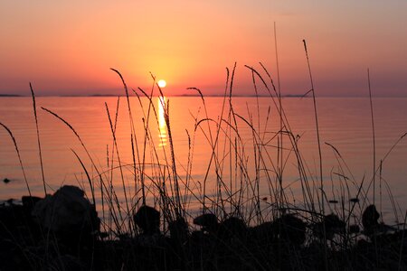 Ear contrast abendstimmung