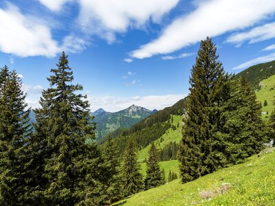 Nature tyrol austria photo
