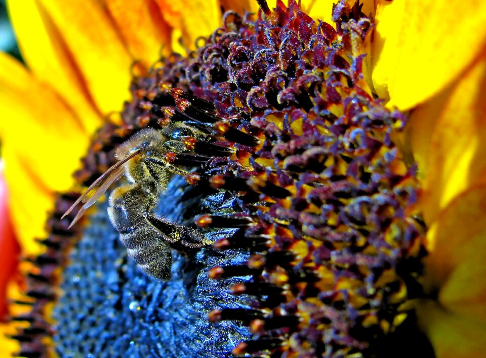 Plant closeup living nature