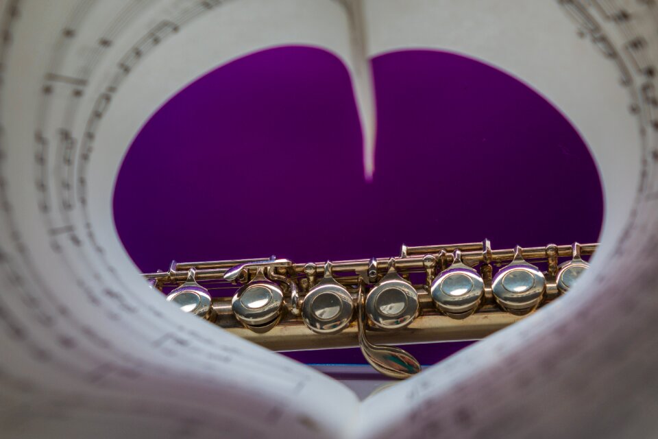 Music instrument classic