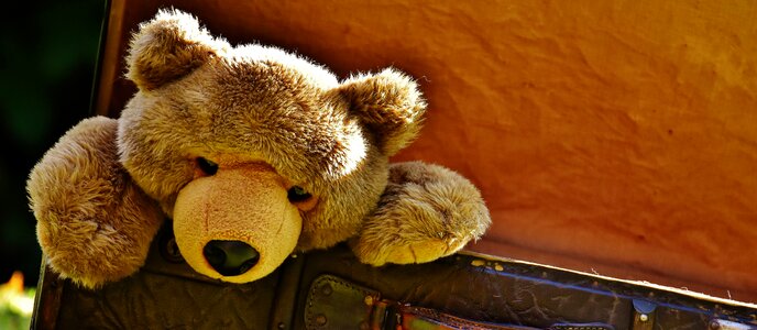Soft toy stuffed animal toys