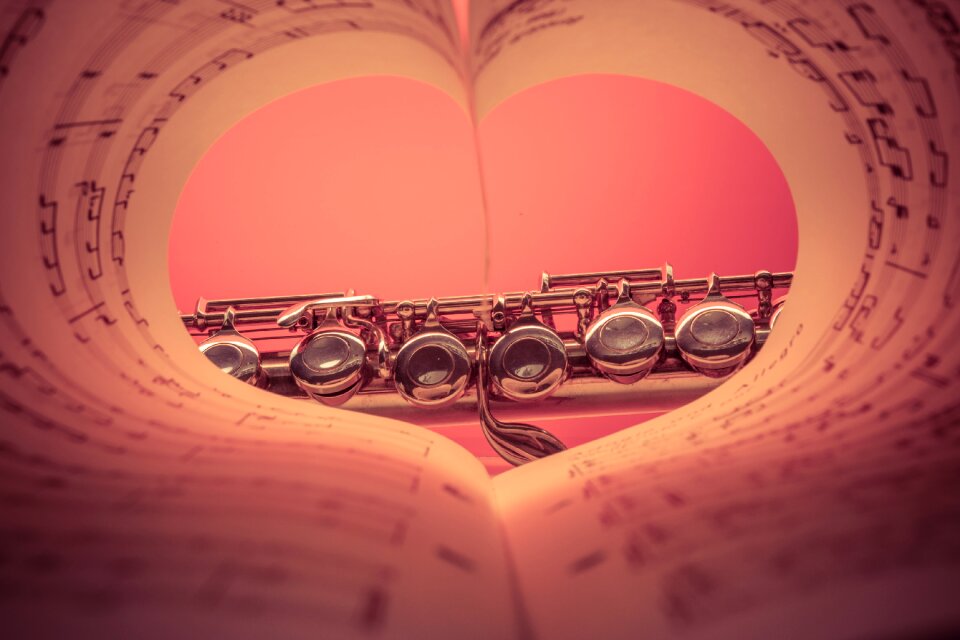 Music instrument classic
