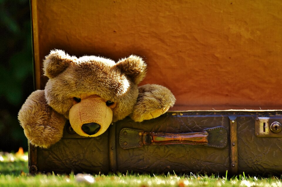 Soft toy stuffed animal toys