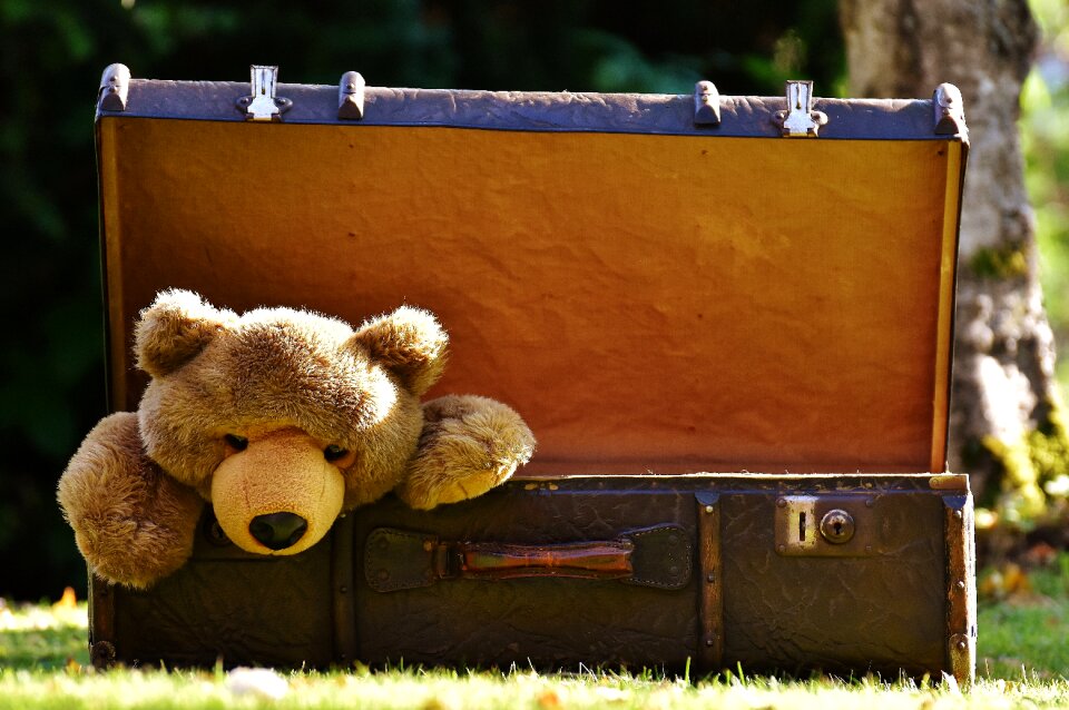 Soft toy stuffed animal toys