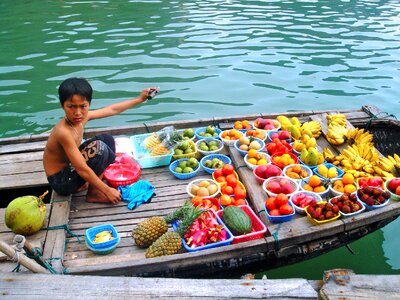 Delicious halong bay bay photo