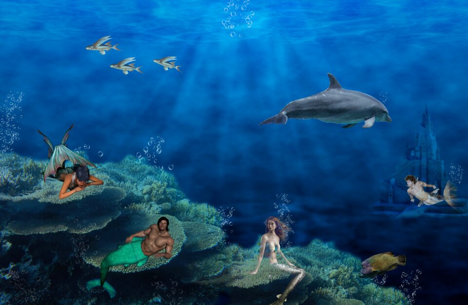 Siren swim mythical creatures