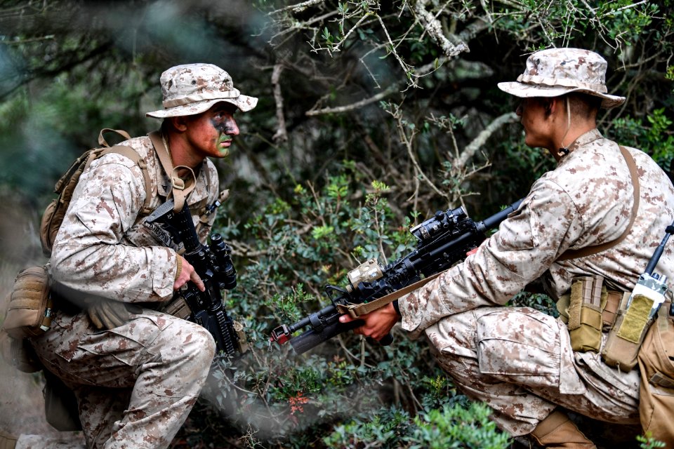 FASTEUR conducts patrol exercise photo