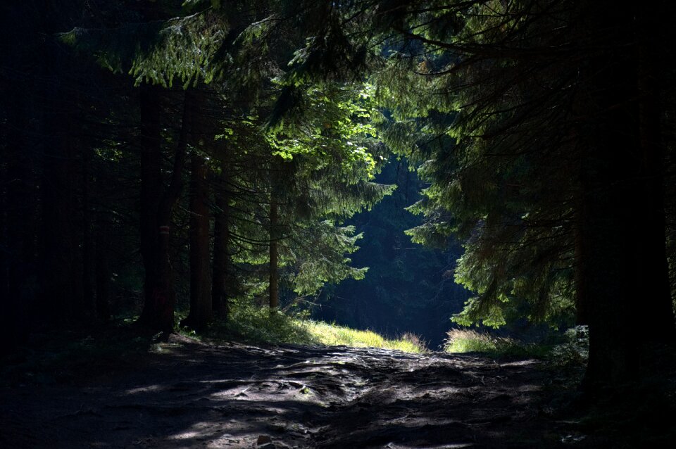 Radziejowa beskids poland