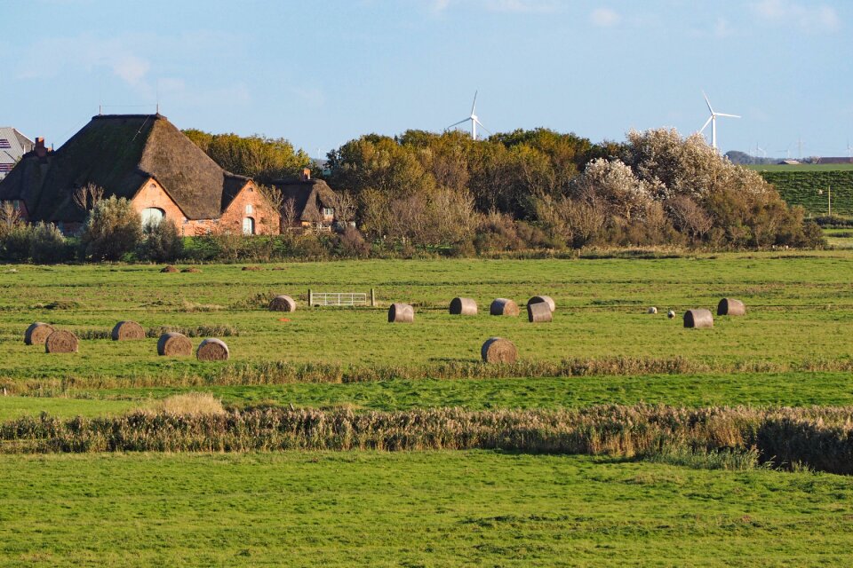Haubarg thatched roof nordfriesland