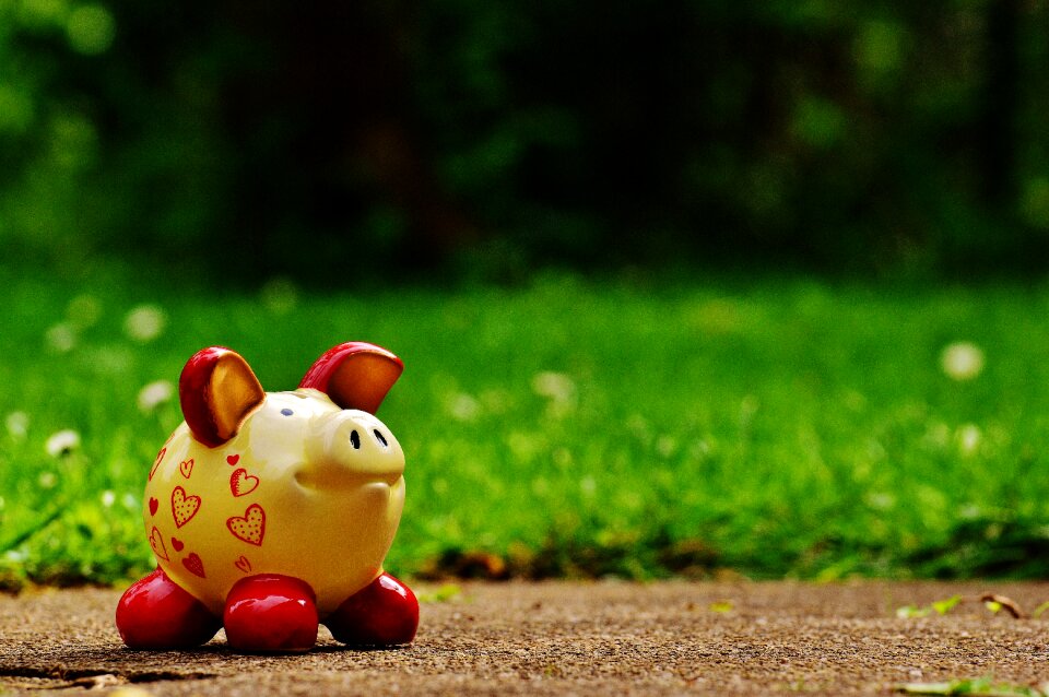 Ceramic save savings bank