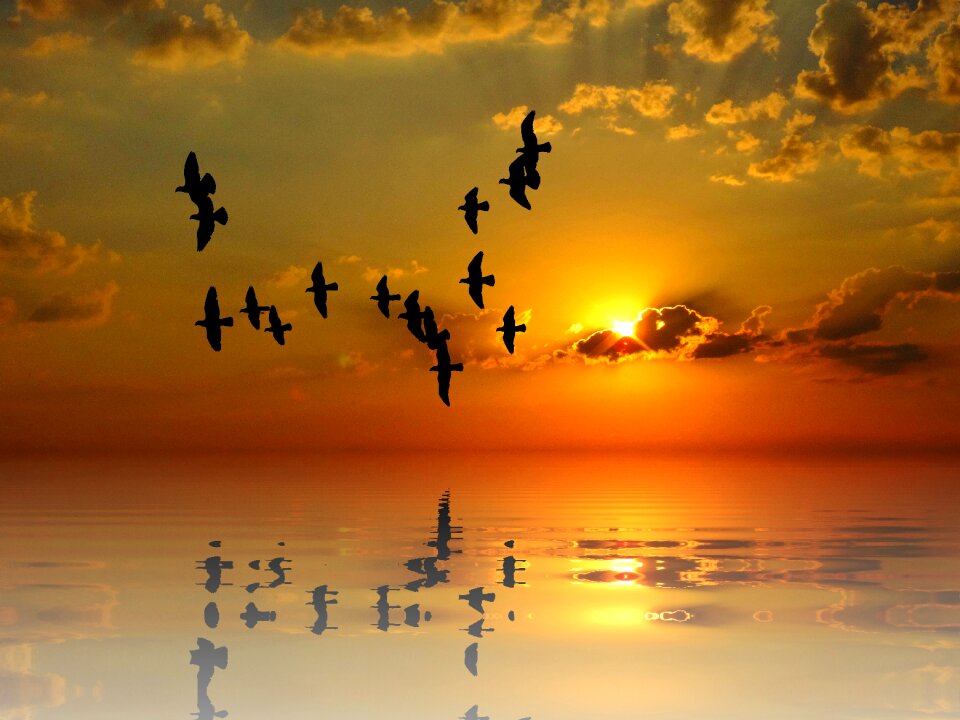 Isolated lake scenic