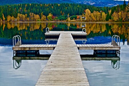 Calm perspective swimming