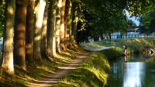 Trees trail toulouse