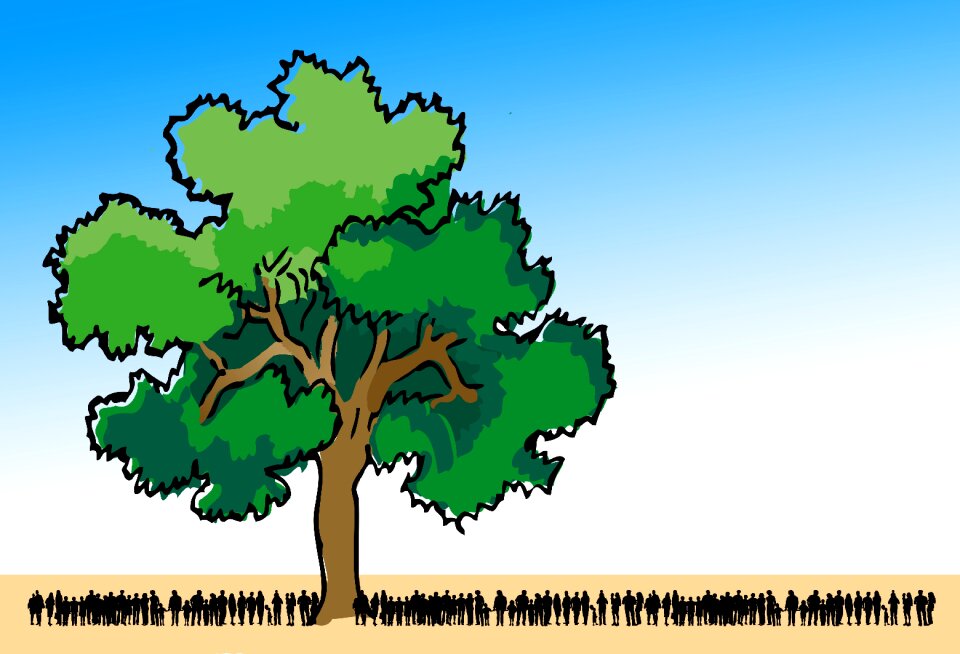 Tree nature conservation responsibility