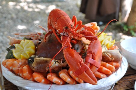 Seafood kitchen lobster photo