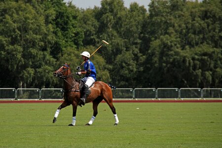 England equestrian summer