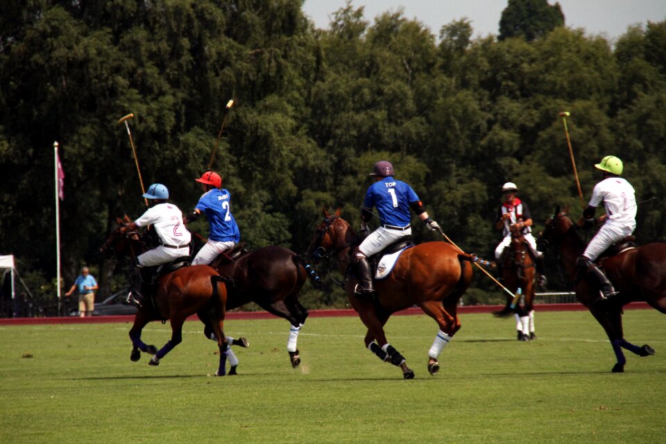 England equestrian summer