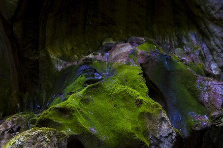 Roche lichen landscape