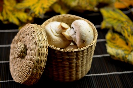 Vegetarian healthy champignon